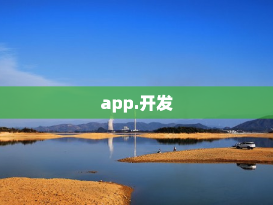 app.开发