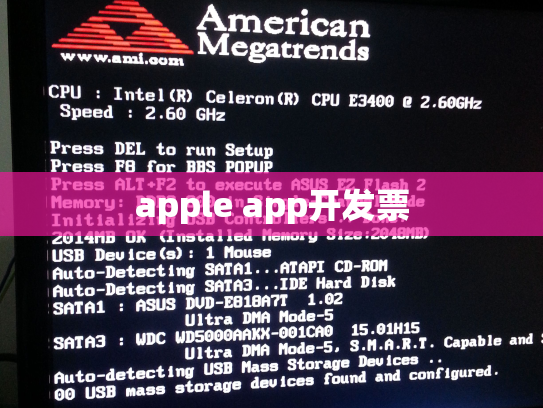 apple app开发票