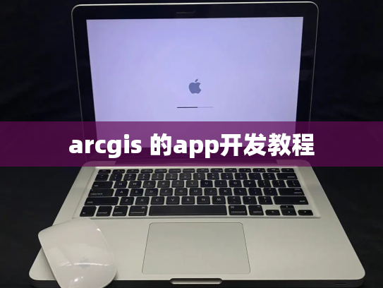 arcgis 的app开发教程