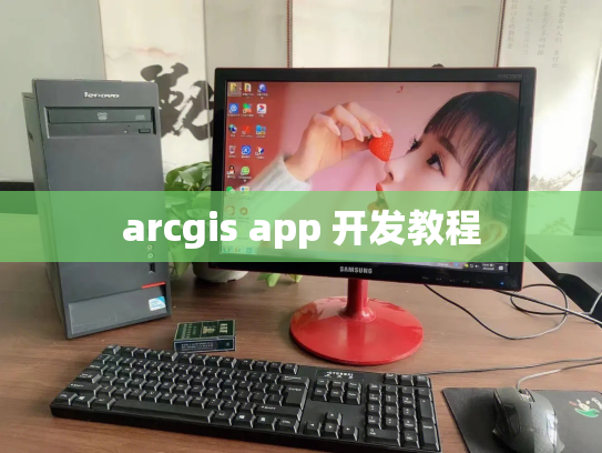arcgis app 开发教程