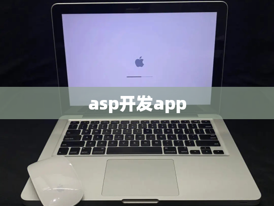 asp开发app