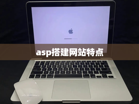 asp搭建网站特点