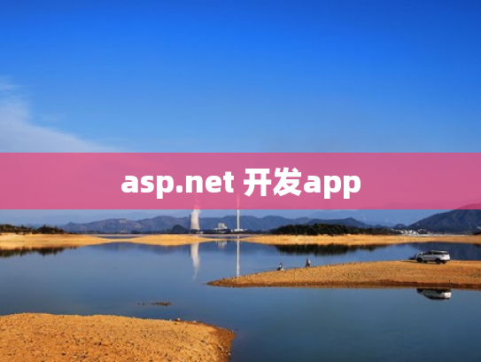 asp.net 开发app