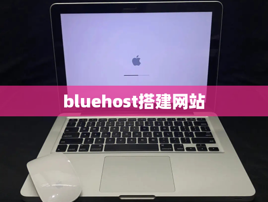bluehost搭建网站