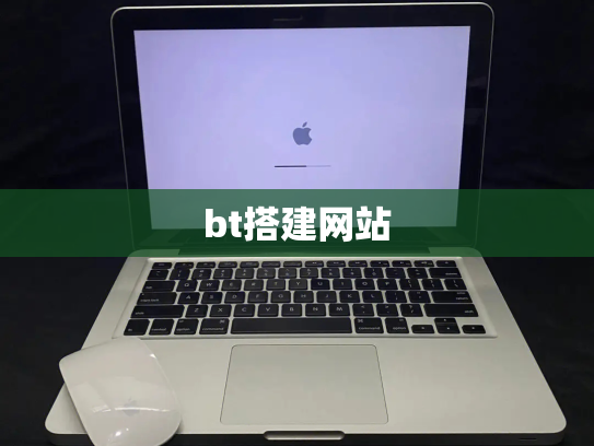 bt搭建网站