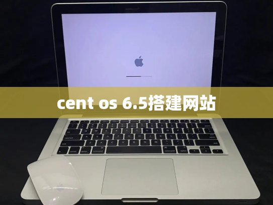 cent os 6.5搭建网站