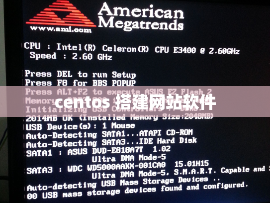 centos 搭建网站软件