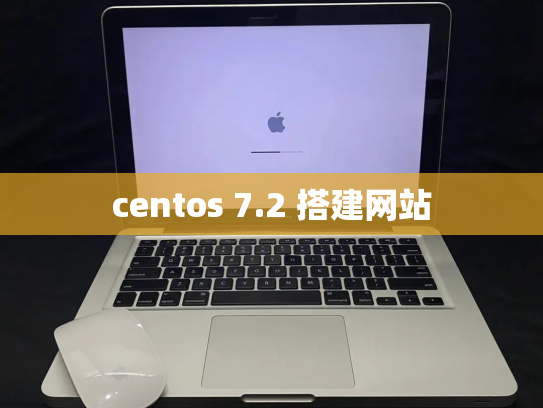 centos 7.2 搭建网站