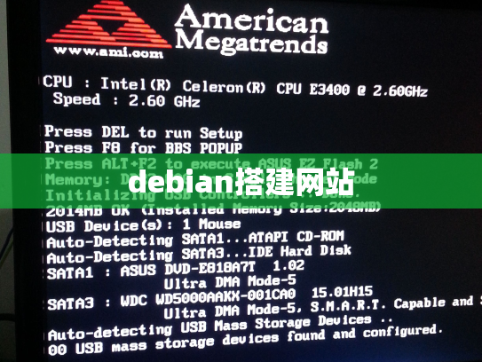 debian搭建网站