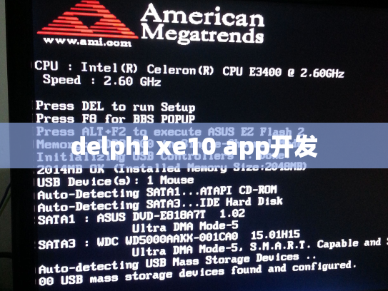 delphi xe10 app开发