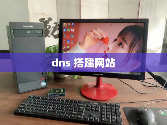 dns 搭建网站