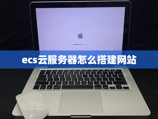ecs云服务器怎么搭建网站