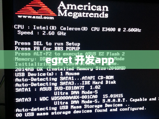 egret 开发app