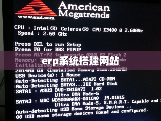 erp系统搭建网站