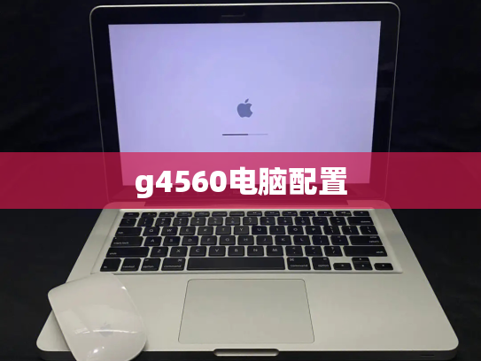 g4560电脑配置