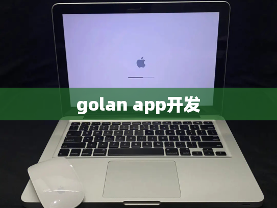 golan app开发
