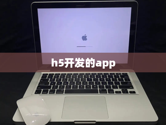 h5开发的app
