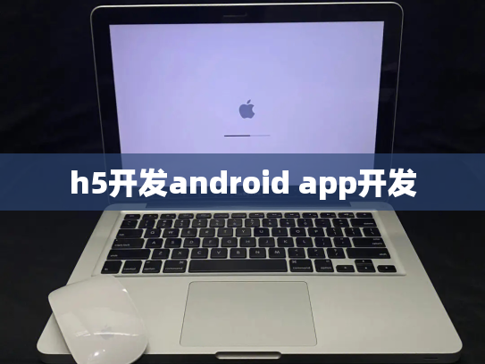 h5开发android app开发