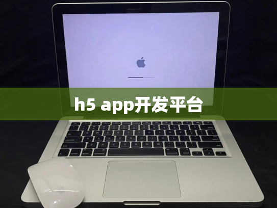 h5 app开发平台