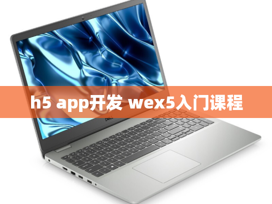 h5 app开发 wex5入门课程