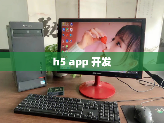 h5 app 开发