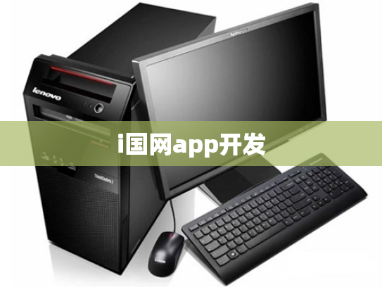 i国网app开发