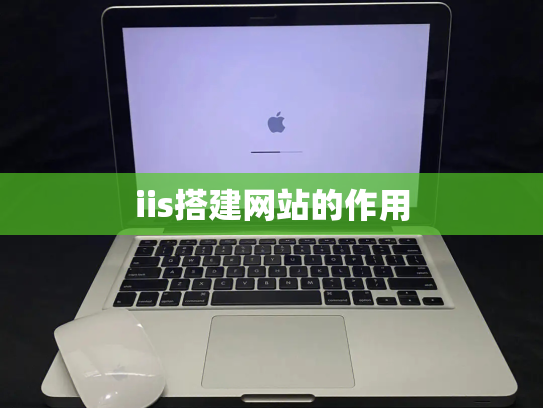 iis搭建网站的作用