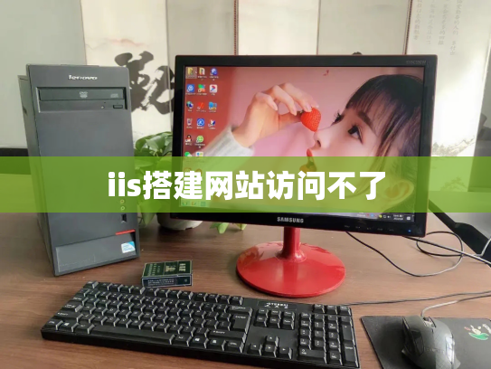 iis搭建网站访问不了