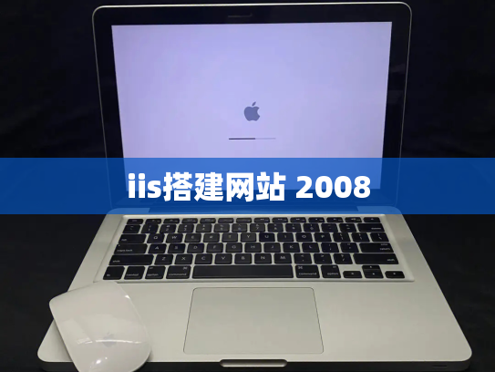 iis搭建网站 2008