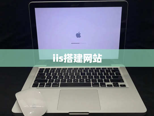 iis搭建网站