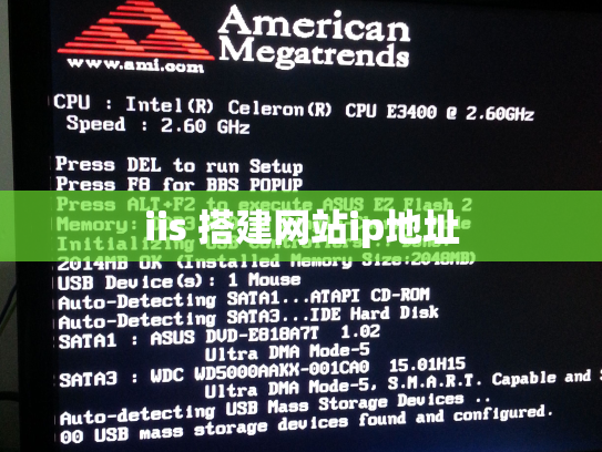 iis 搭建网站ip地址