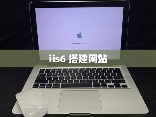 iis6 搭建网站