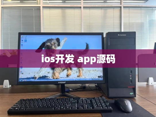 ios开发 app源码