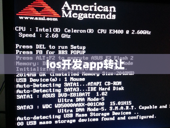 ios开发app转让