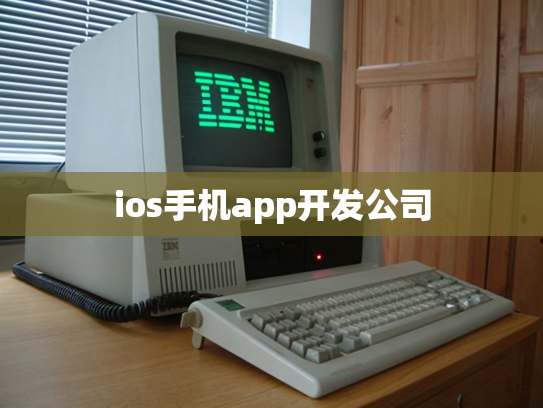 ios手机app开发公司