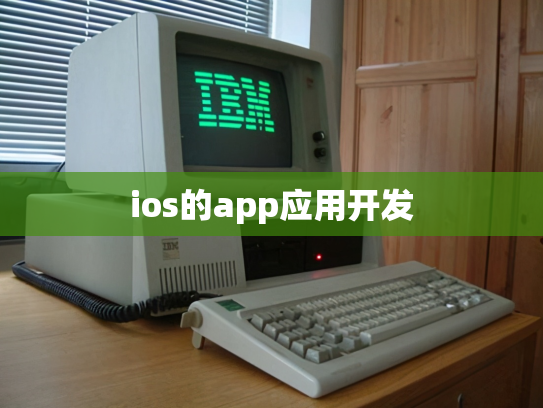 ios的app应用开发