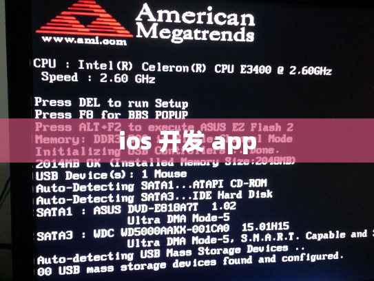 ios 开发 app