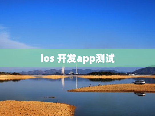 ios 开发app测试