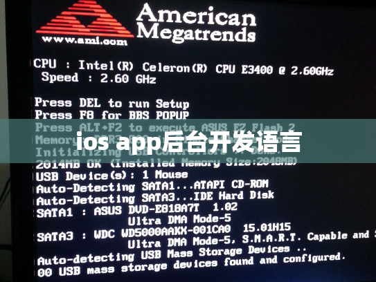 ios app后台开发语言