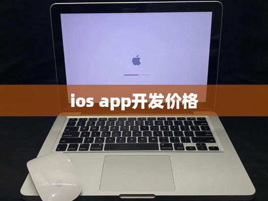 ios app开发价格