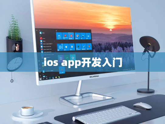ios app开发入门
