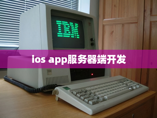 ios app服务器端开发