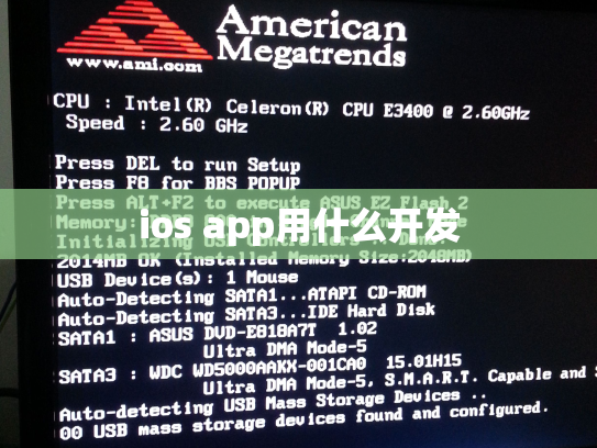 ios app用什么开发