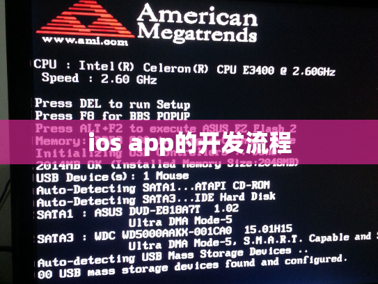 ios app的开发流程