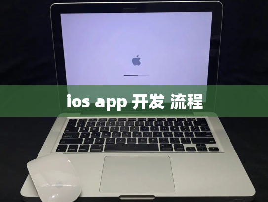 ios app 开发 流程