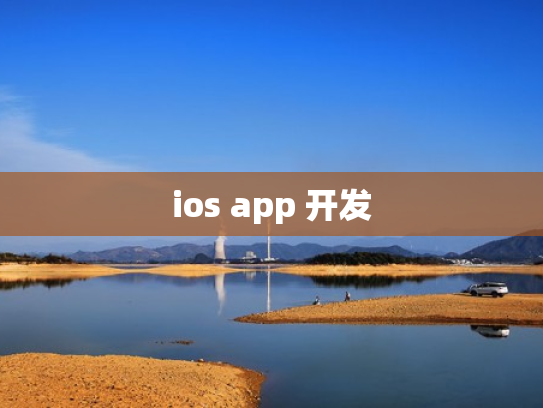 ios app 开发