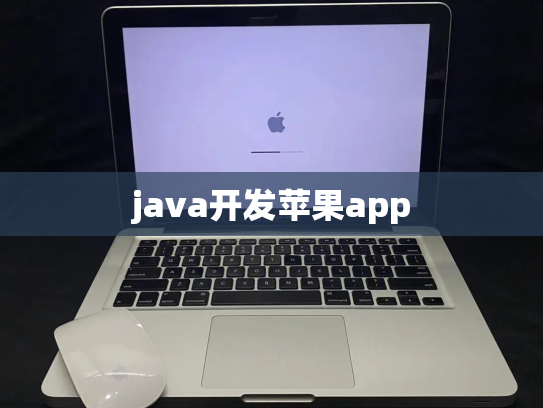 java开发苹果app