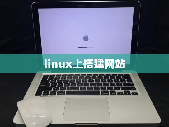 linux上搭建网站
