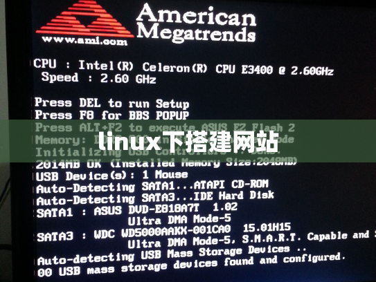 linux下搭建网站
