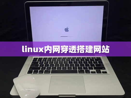 linux内网穿透搭建网站